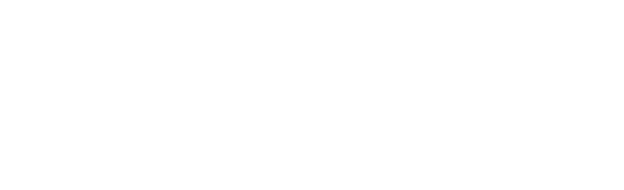 Main Logo